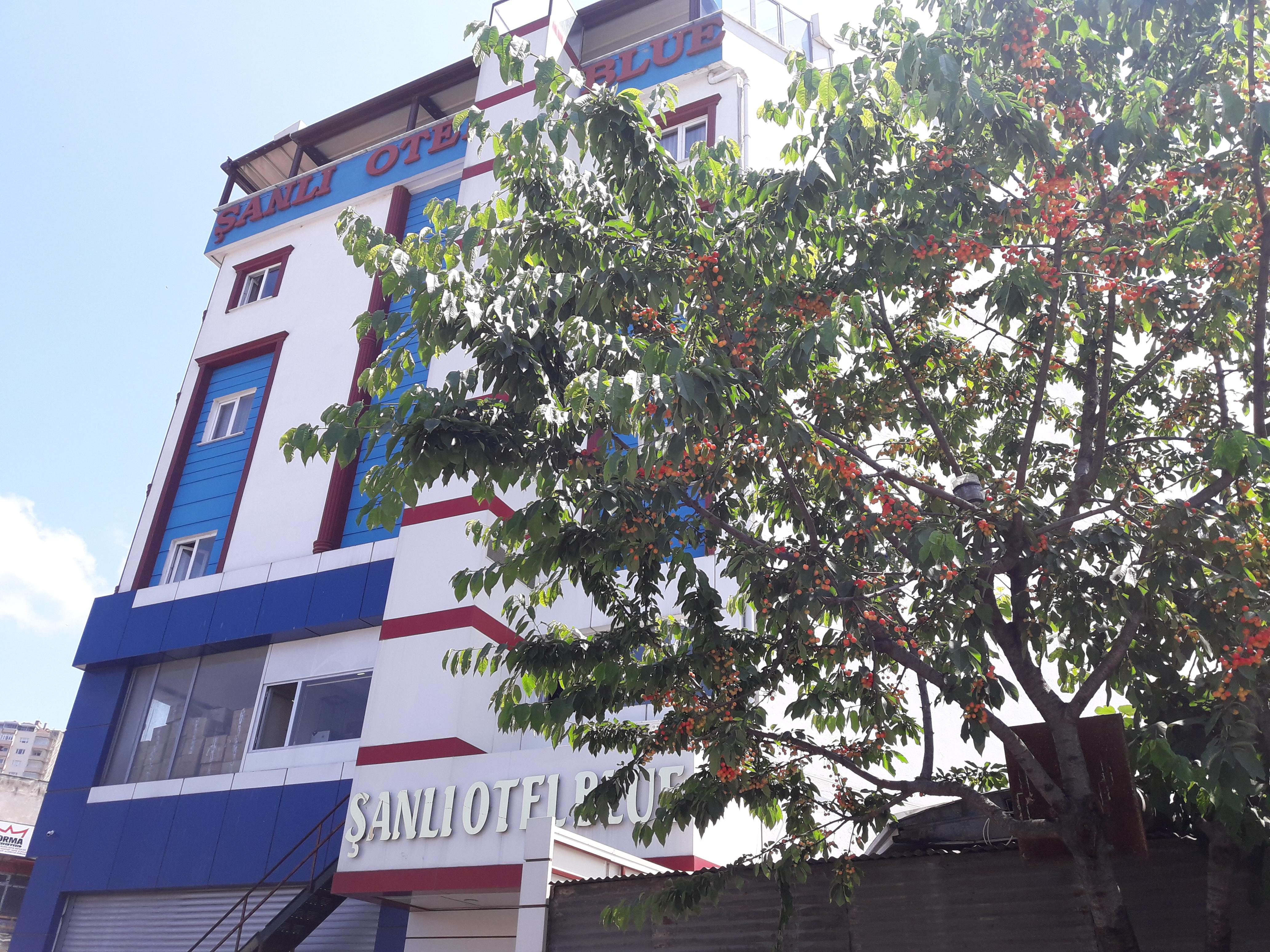 Sanli Hotel Blue Trabzon Buitenkant foto